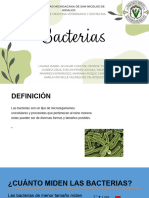 Bacterias