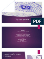 Histología PPT 01