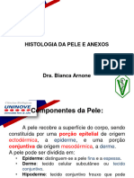 Histologia Da Pele e Anexos