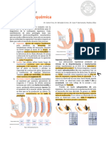 ECG 9 - ECG en Cardiopatía Isquémica 2