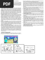 Contaminación Por Plásticos 5