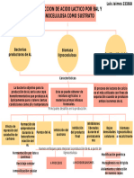 Mapa Conceptual Lignocelulosa Como Sustrato para Producción de Acido Láctico