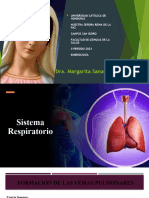 Sistema Respiratorio