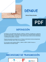 Presentación Dengue