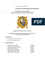 Informe 3 y 4 Microbiología