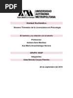 Aborto Nuevo Es El Que Yo Hice Con Amuchastegui