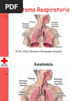 Sistema Respiratorio Mio