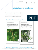 U8.7.Las Adaptaciones en Las Plantas