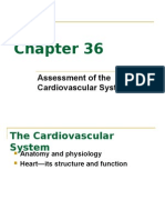 Assessment of The Cardiovascular System