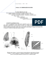 Dissecação de Aves