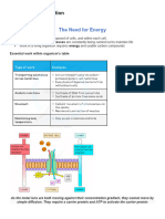 Chap 12 Energy and Respiration