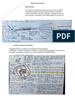 Final de Neurosciences