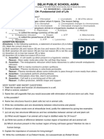 H.Y Revision W.S 1 Cell 2324