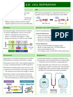 2.8 Cell Respiration