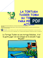 Tortuga Tucker