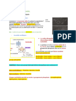 Microbiologie L1