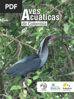 Aves Acuaticas Colombia