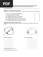 Evaluación de Medio Social y Natural Primer Grado II Unidad 2022