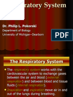 Respiratory System