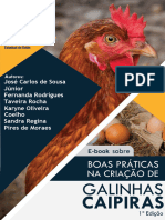 Boas Práticas Na Criação de Galinhas Caipiras.