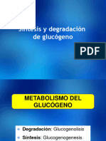 Metabolismo de Glucogeno