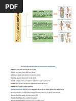 Clase 2 Anatomia