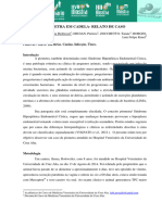 Piometra em Cadela - Relato de Caso