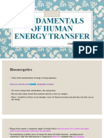 Fundamentals of Human Energy Transfer