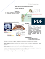 Introduction Neurophysiologie