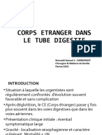 Corps Etranger Dans Le Tube Digestif - Cher