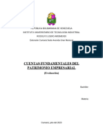 Cuentas Fundamentales Del Patrimonio Empresarial