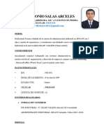 CV ELMER ANTONIO SALAS ARCELES Oficial