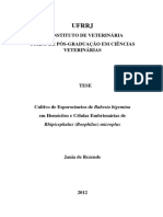 Resende J 2012 Tese UFRRJ Cultivo Esporocinetos Bab Bigemina em Celulas Rhip Microplus