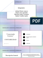 Comunicacion y Gestion de La Informacion - Contabilidad Proyecto