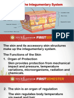 Unit III. The Integumentary System