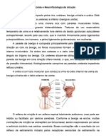 1 Neurofisiologia Da Miccao