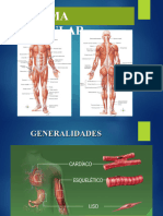 2C. Sistema Muscular