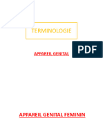 Terminologie Appareil Genital