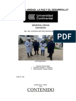 Informe Lixiviacion