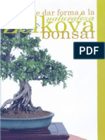 Bonsai. La Zelkova