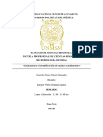 Informe 12