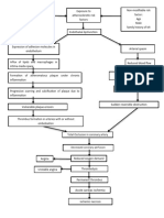 Pathophysiology STEMI