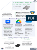 Infografia Respaldo de Informacion