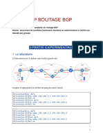 TP Routage BGP