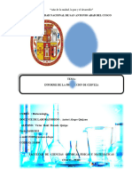 Informe 5 de Biotecnologia