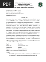 PDF Documento