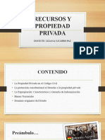 Recursos y Propiedad Privada