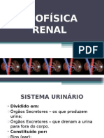 Apresentação BIOFÍSICA RENAL - FINAL