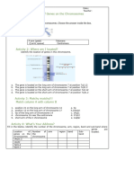 Activity Location of Genes On The Chromosomes