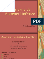 Anatomia Do Sistema Linfatico